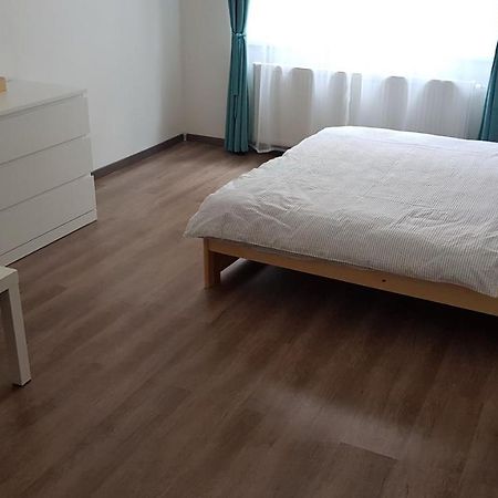 Apartman Pod Zamkem 德辛 外观 照片