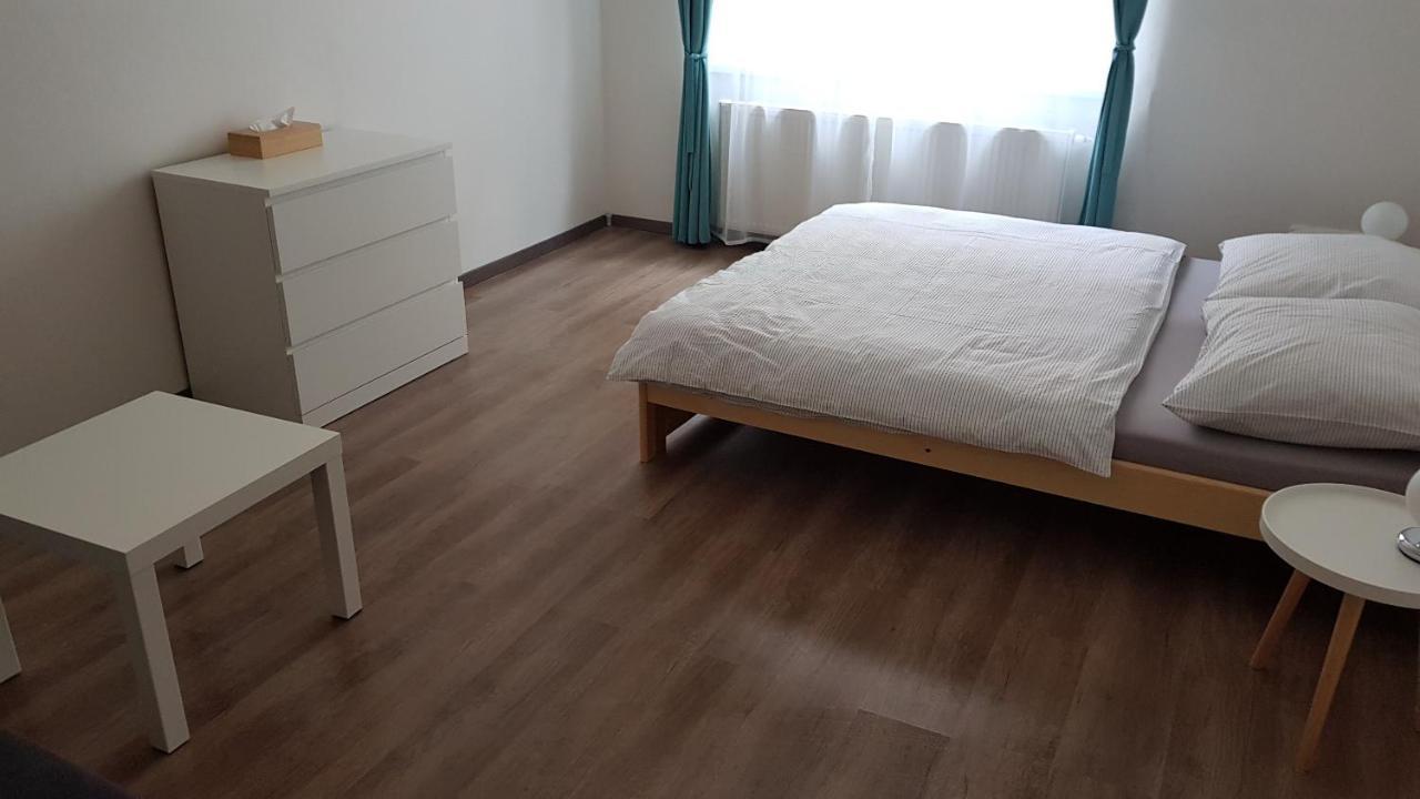 Apartman Pod Zamkem 德辛 外观 照片